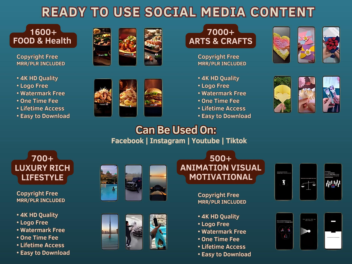 MRR PLR Faceless Reels Mega Bundle Motivational, Luxury Car, Hotel, Yacht, Nature, Travel, Arts, Fitness, Food, Dog, Cat + DFY plr Products