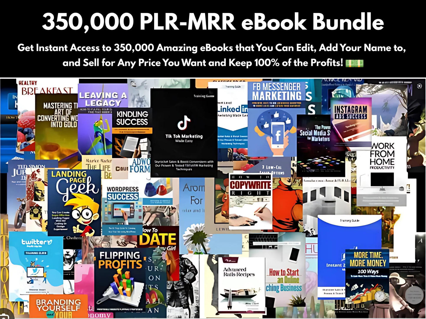 PLR-MRR 2 Million Digital Products With Unrestricted Master Resell Rights - eBooks, PLR Articles, Coloring Pages, Kids Activities & Software